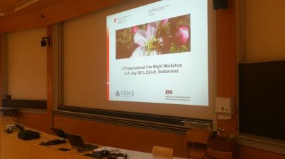 13th ISHS Fire Blight Workshop