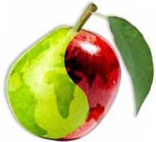 2nd ISFB, Traverse City (Michigan)